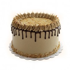 Viennese mocha torte by contis